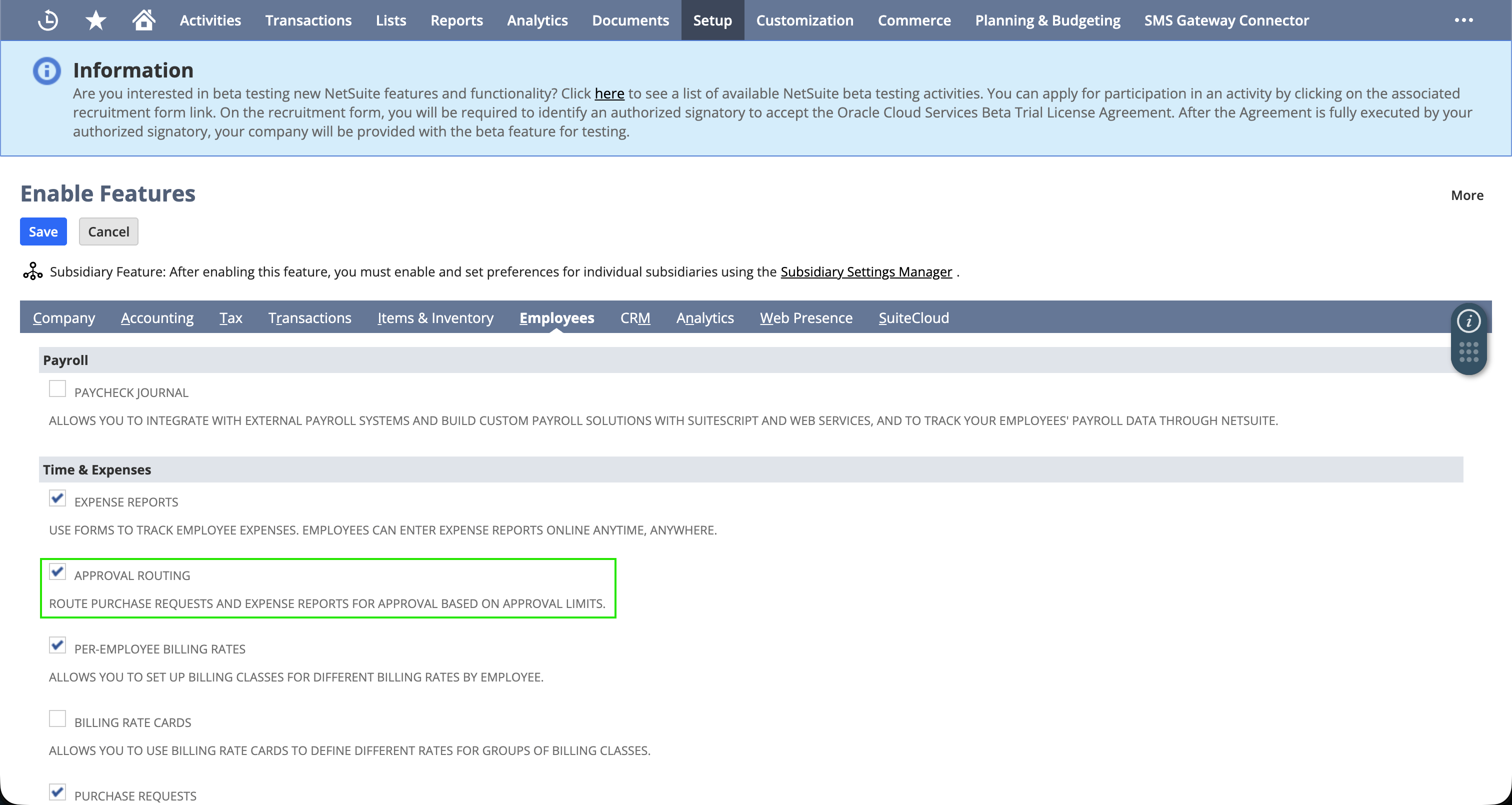 Enable Features screen, Employees subtab, with the Approval Routing feature checked